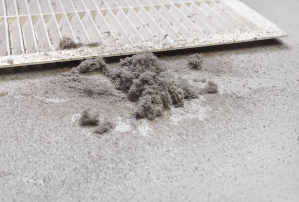 Best Local Air Duct Cleaning Services  in Moose Wilson Road, WY