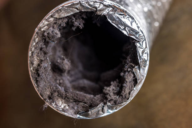 Best Ventilation Cleaning Services  in Moose Wilson Road, WY