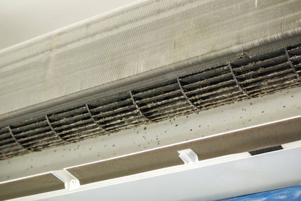 Best HVAC Air Duct Cleaning  in Moose Wilson Road, WY
